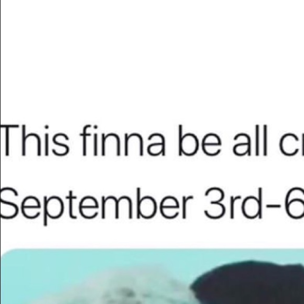 Meet your Posher, America